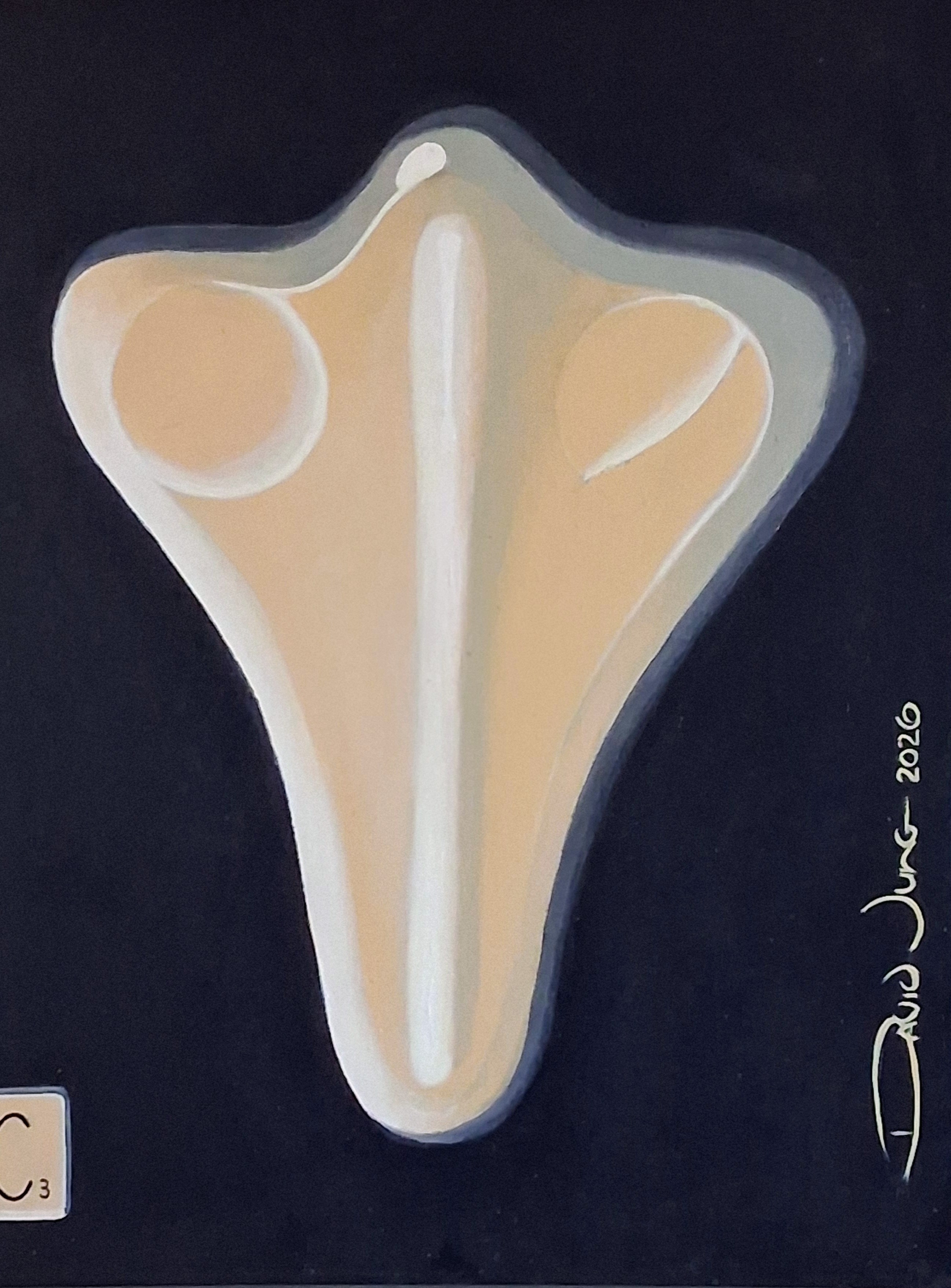 Abstract cream wing-like form on a dark background